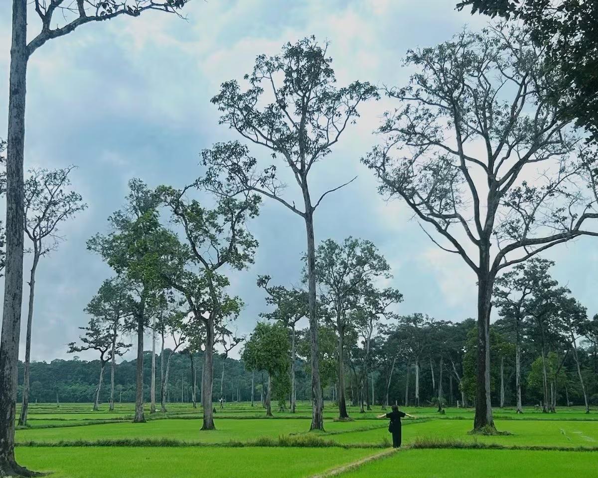Hình ảnh Vườn Quốc Gia Cát Tiên