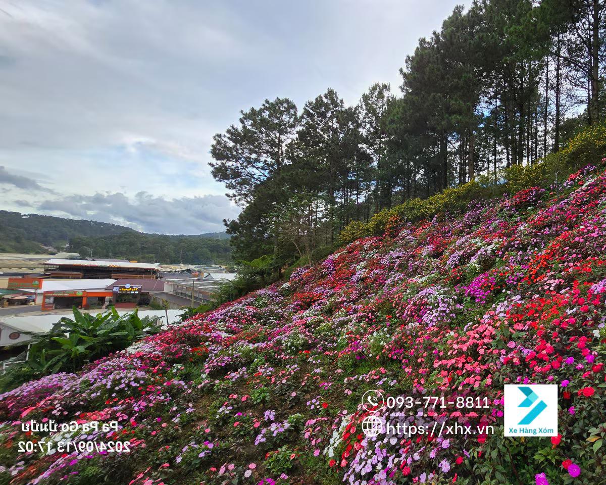 Festival Hoa Đà Lạt 2024: Rực Rỡ Ngàn Hoa, Tự Do Khám Phá Cùng Xe Hàng Xóm