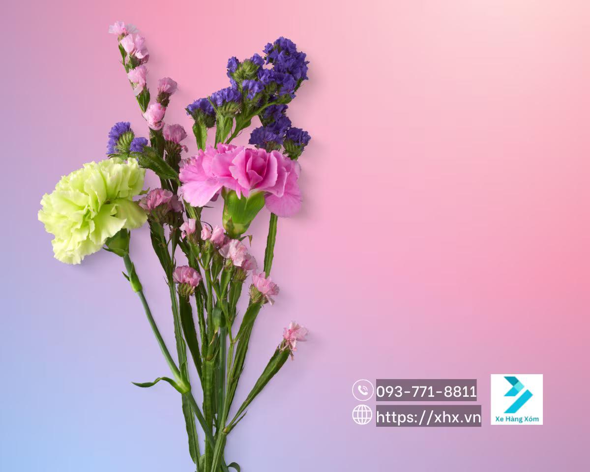 Hình ảnh Quà tặng 20/10 cho Vợ