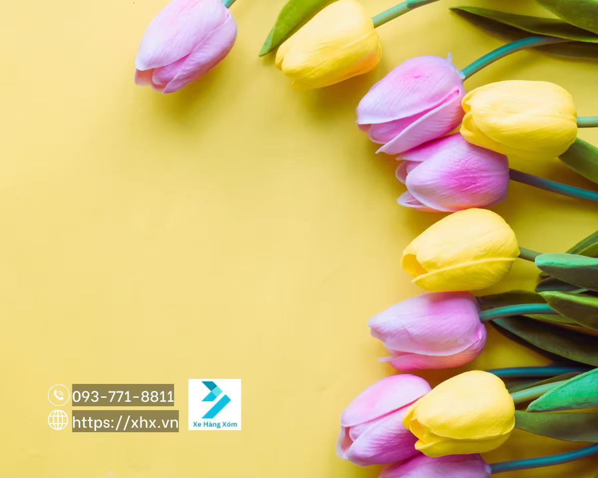 Hình ảnh Quà tặng 20/10 Hoa tươi